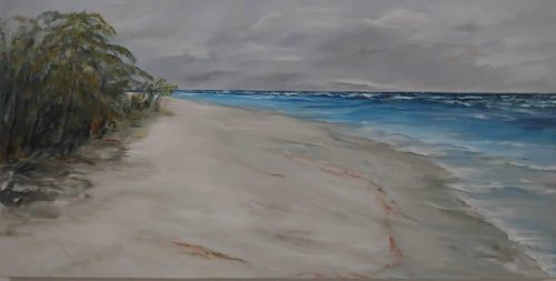 Lady Elliott Island West
