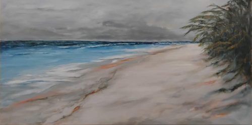 Lady Elliott Island East